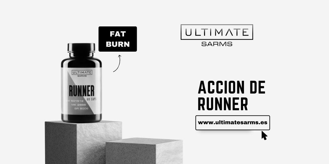 ¿Cómo funciona el Runner?