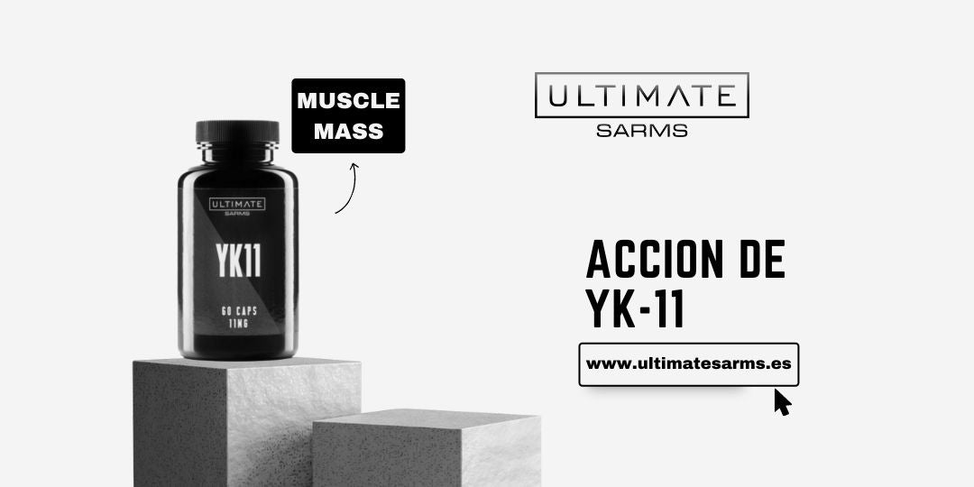 ¿Cómo funciona el SARM YK11?