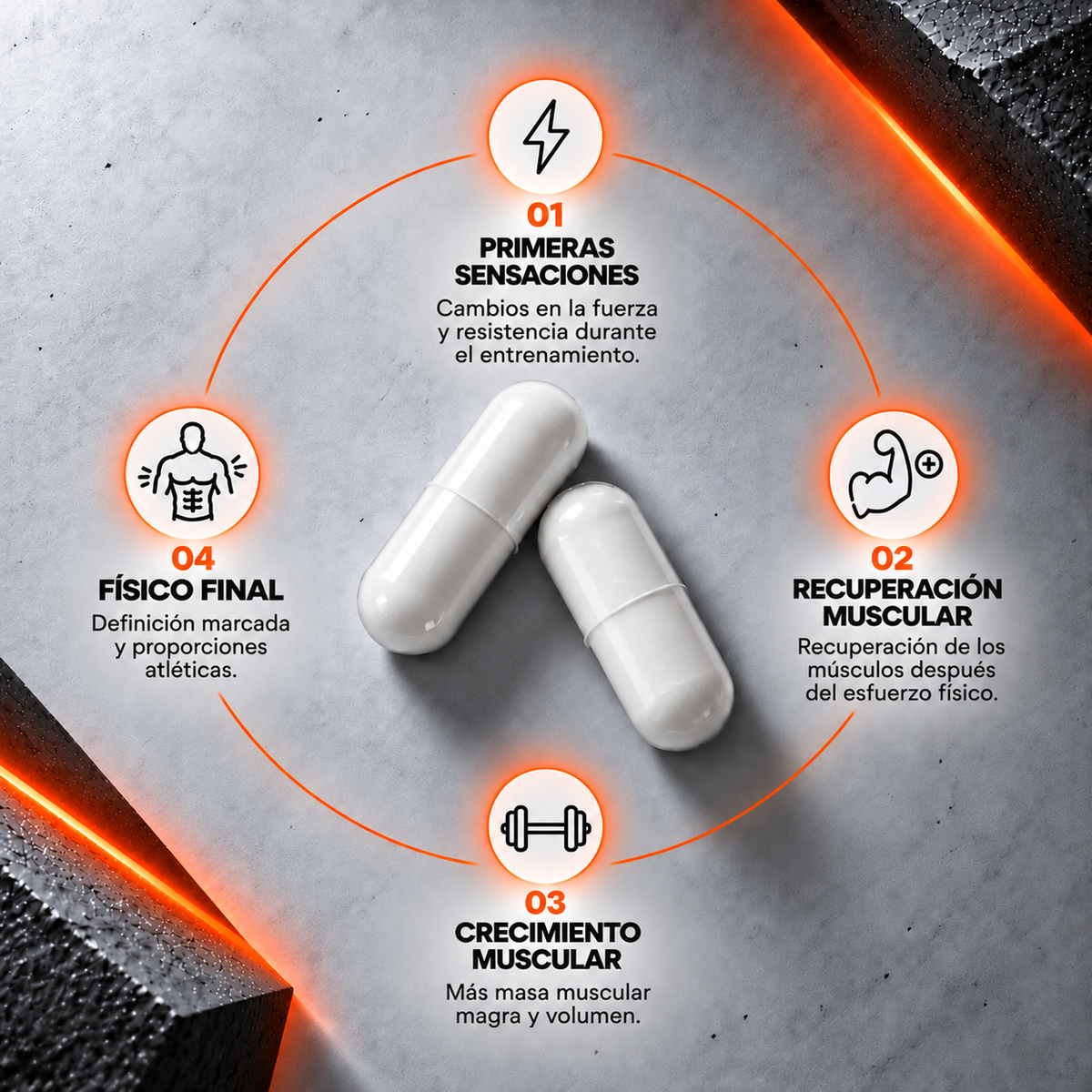 Guia de Suplementos y Rendimiento